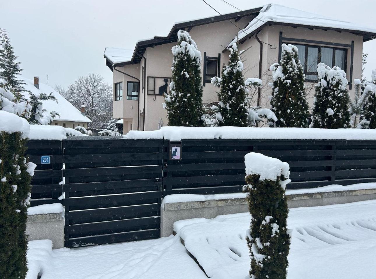 Casa Pisica Noastra Hotel Breaza  Eksteriør billede