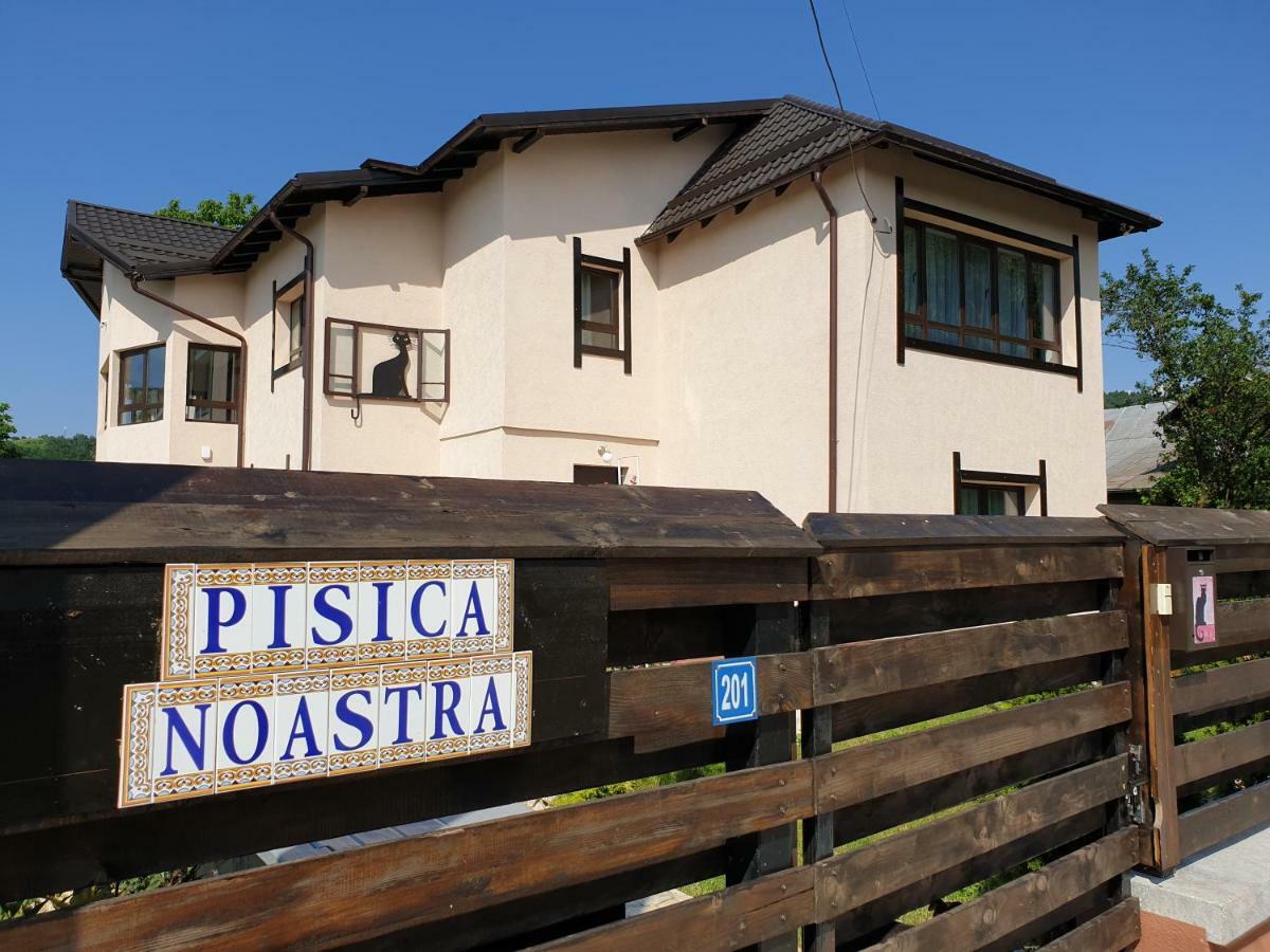Casa Pisica Noastra Hotel Breaza  Eksteriør billede
